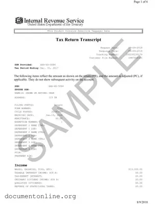 Free Sample Tax Return Transcript Template