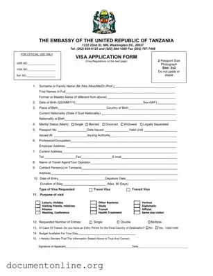 Free Tanzania Visa Applicaiton Template