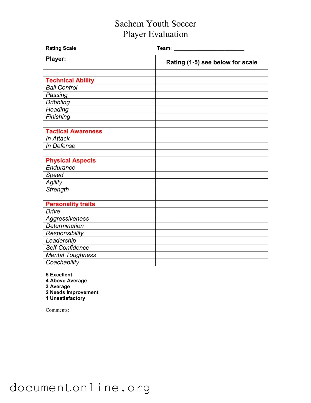 Free Soccer Player Evaluation Template